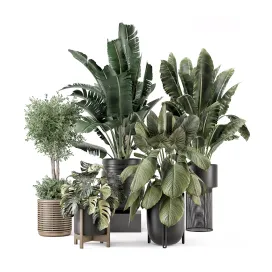 Indoor Plants in Ferm Living Bau Pot Large Set